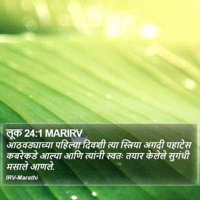 लूक 24:1 MARIRV Bible Verse Image