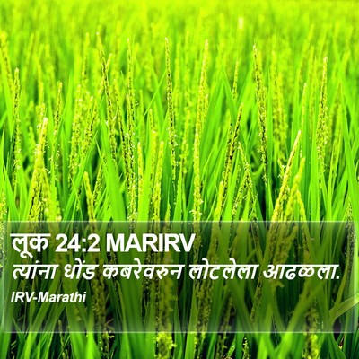 लूक 24:2 MARIRV Bible Verse Image