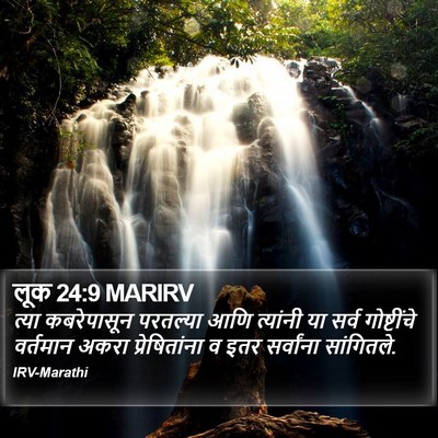 लूक 24:9 MARIRV Bible Verse Image