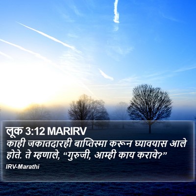 लूक 3:12 MARIRV Bible Verse Image