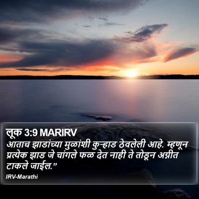 लूक 3:9 MARIRV Bible Verse Image