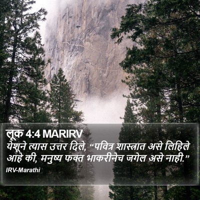 लूक 4:4 MARIRV Bible Verse Image