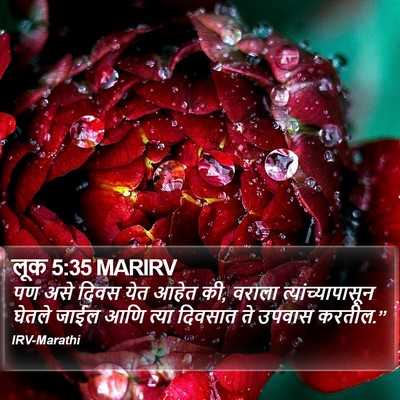 लूक 5:35 MARIRV Bible Verse Image