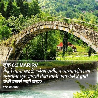 लूक 6:3 MARIRV Bible Verse Image