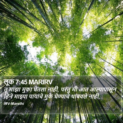 लूक 7:45 MARIRV Bible Verse Image