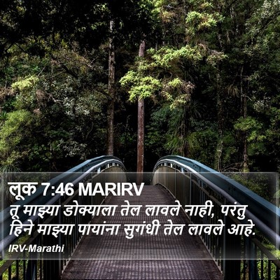लूक 7:46 MARIRV Bible Verse Image