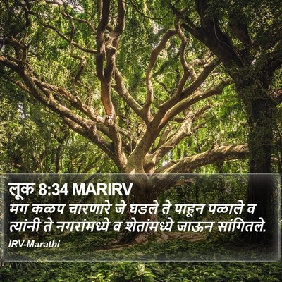 लूक 8:34 MARIRV Bible Verse Image