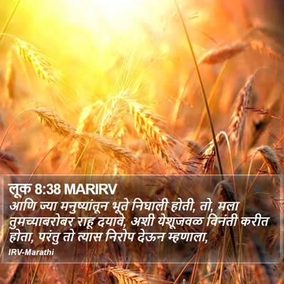 लूक 8:38 MARIRV Bible Verse Image