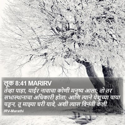 लूक 8:41 MARIRV Bible Verse Image