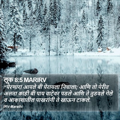 लूक 8:5 MARIRV Bible Verse Image