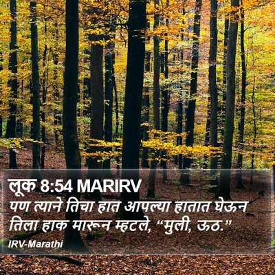 लूक 8:54 MARIRV Bible Verse Image