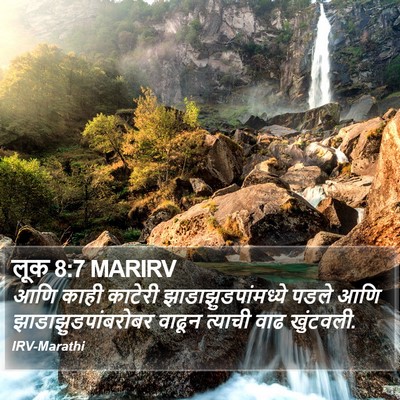 लूक 8:7 MARIRV Bible Verse Image