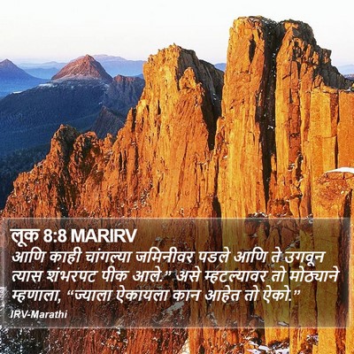 लूक 8:8 MARIRV Bible Verse Image