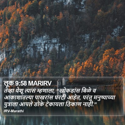 लूक 9:58 MARIRV Bible Verse Image