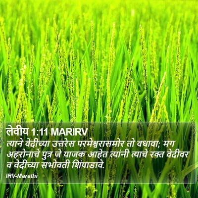 लेवीय 1:11 MARIRV Bible Verse Image