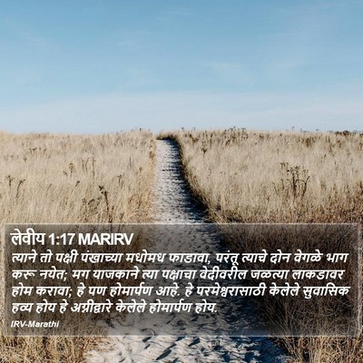 लेवीय 1:17 MARIRV Bible Verse Image