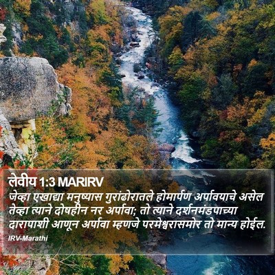 लेवीय 1:3 MARIRV Bible Verse Image