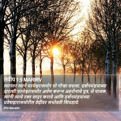 लेवीय 1:5 MARIRV Bible Verse Image