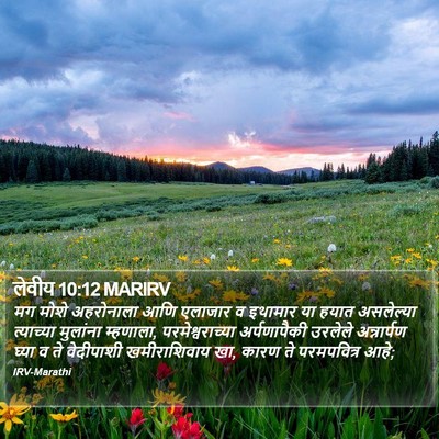 लेवीय 10:12 MARIRV Bible Verse Image