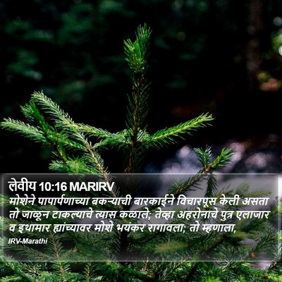 लेवीय 10:16 MARIRV Bible Verse Image
