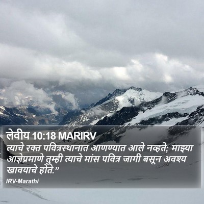 लेवीय 10:18 MARIRV Bible Verse Image