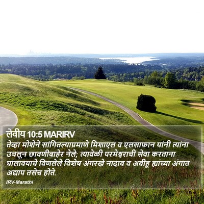 लेवीय 10:5 MARIRV Bible Verse Image
