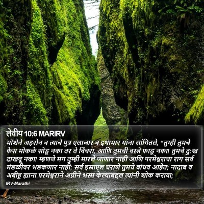 लेवीय 10:6 MARIRV Bible Verse Image