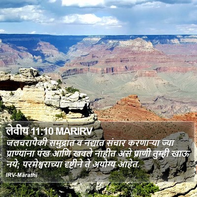 लेवीय 11:10 MARIRV Bible Verse Image