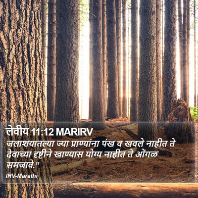 लेवीय 11:12 MARIRV Bible Verse Image