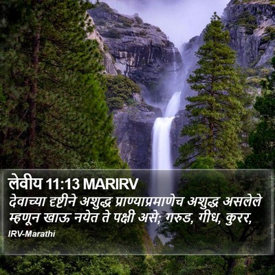 लेवीय 11:13 MARIRV Bible Verse Image
