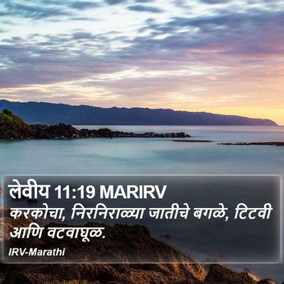 लेवीय 11:19 MARIRV Bible Verse Image