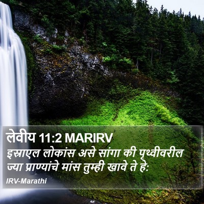लेवीय 11:2 MARIRV Bible Verse Image