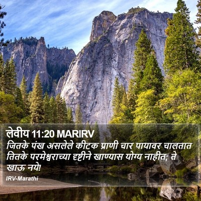 लेवीय 11:20 MARIRV Bible Verse Image