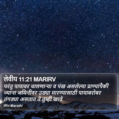 लेवीय 11:21 MARIRV Bible Verse Image