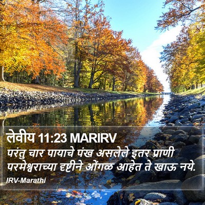 लेवीय 11:23 MARIRV Bible Verse Image