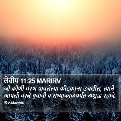 लेवीय 11:25 MARIRV Bible Verse Image