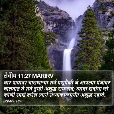 लेवीय 11:27 MARIRV Bible Verse Image