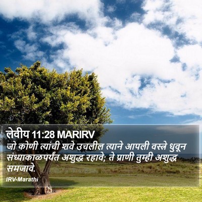 लेवीय 11:28 MARIRV Bible Verse Image