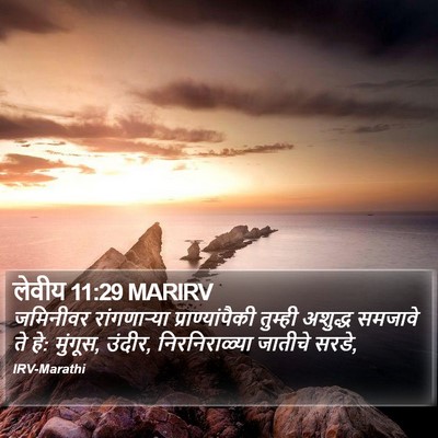 लेवीय 11:29 MARIRV Bible Verse Image
