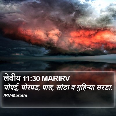 लेवीय 11:30 MARIRV Bible Verse Image