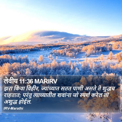लेवीय 11:36 MARIRV Bible Verse Image