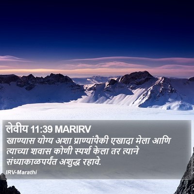 लेवीय 11:39 MARIRV Bible Verse Image