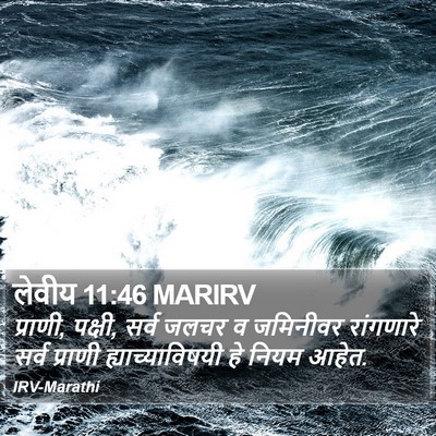 लेवीय 11:46 MARIRV Bible Verse Image