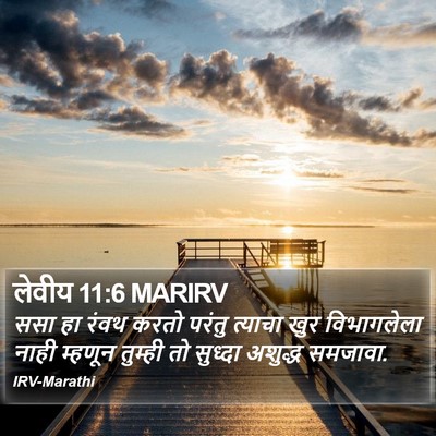 लेवीय 11:6 MARIRV Bible Verse Image