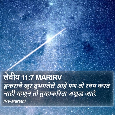 लेवीय 11:7 MARIRV Bible Verse Image