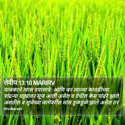 लेवीय 13:10 MARIRV Bible Verse Image