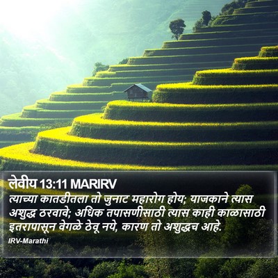 लेवीय 13:11 MARIRV Bible Verse Image