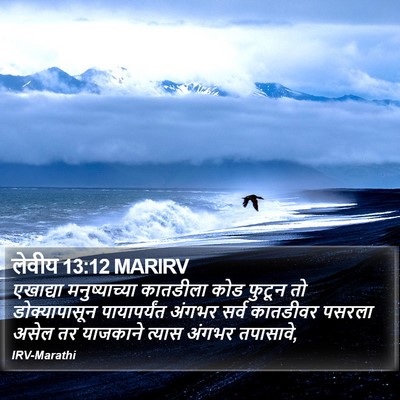 लेवीय 13:12 MARIRV Bible Verse Image
