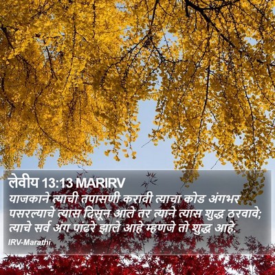 लेवीय 13:13 MARIRV Bible Verse Image