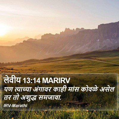 लेवीय 13:14 MARIRV Bible Verse Image